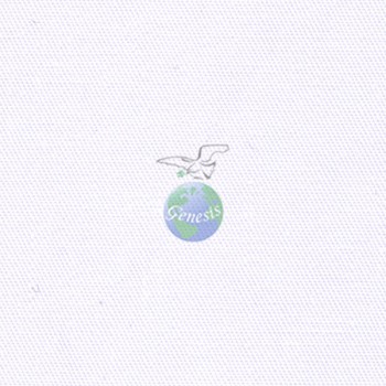 CT-02 Extra White
